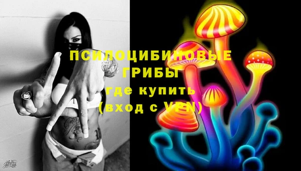 spice Баксан