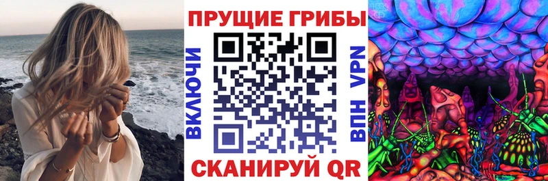 где купить наркоту Нерюнгри Псилоцибиновые грибы мухоморы