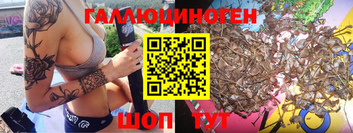 Псилоцибиновые грибы Magic Shrooms Нерюнгри